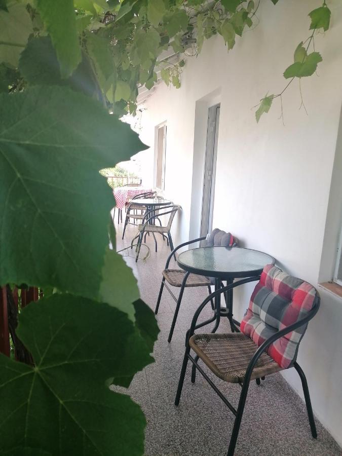 Vila Didi, Mangalia Kültér fotó