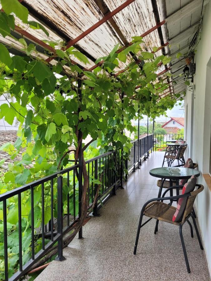 Vila Didi, Mangalia Kültér fotó