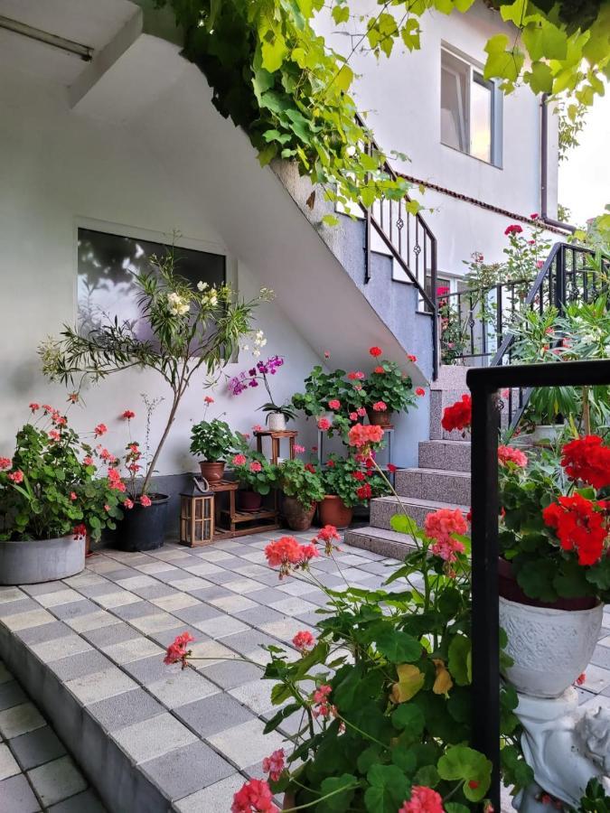 Vila Didi, Mangalia Kültér fotó